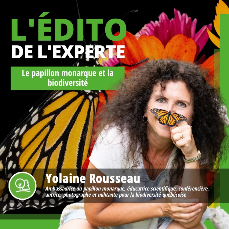 L'Édito de l'experte — Yolaine Rousseau pour le CRECQ : Le papillon monarque et la biodiversité